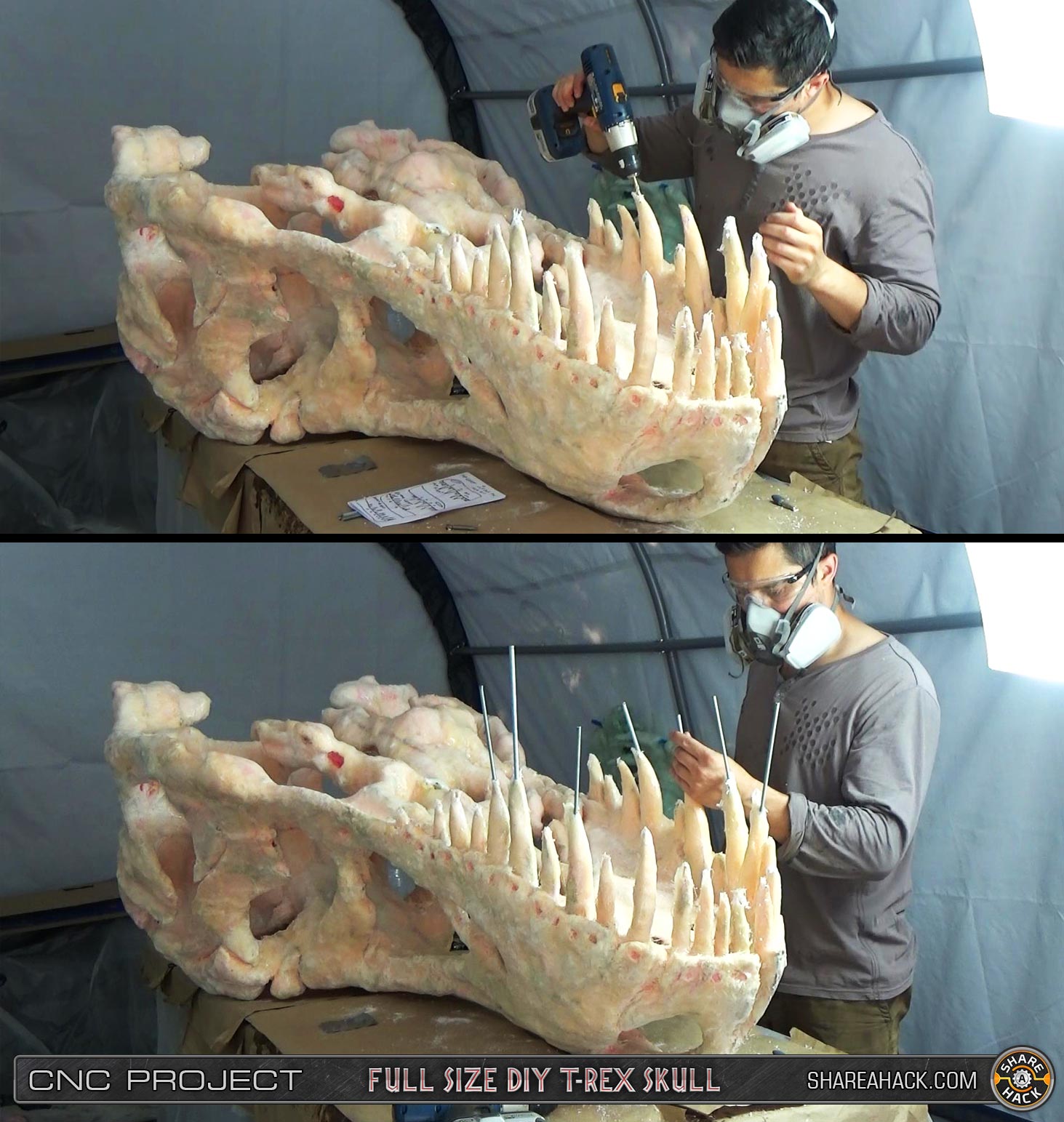 shareahack_diy-trex-skull-cnc-foam_3dmodel_37-teeth-reinforcement.jpg